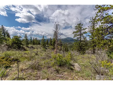 563 Lakeshore Park Rd, Boulder, CO 80302 photo 33