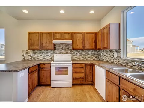 2056 Day Spring Dr, Windsor, CO 80550 photo 11
