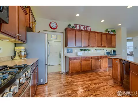 1868 E Seadrift Dr, Windsor, CO 80550 photo 16