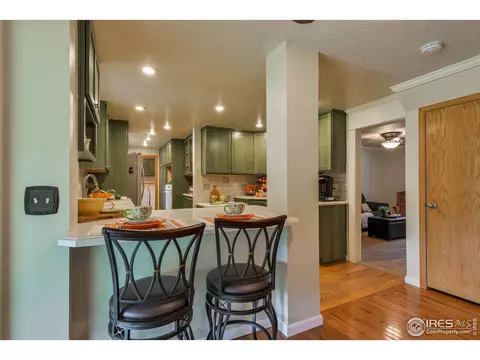 716 Locust St, Windsor, CO 80550 photo 15
