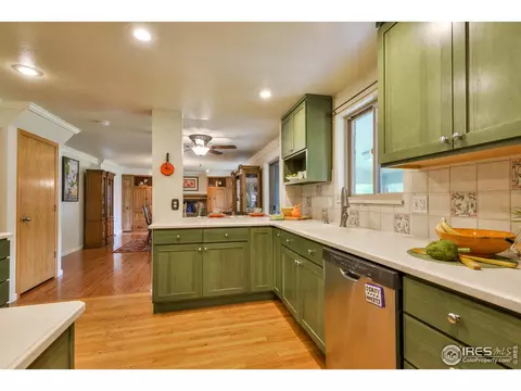 716 Locust St, Windsor, CO 80550 photo 9