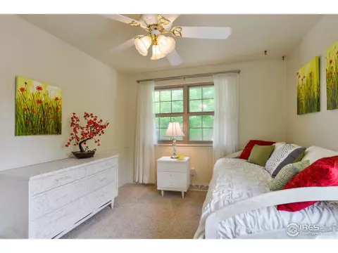 716 Locust St, Windsor, CO 80550 photo 23