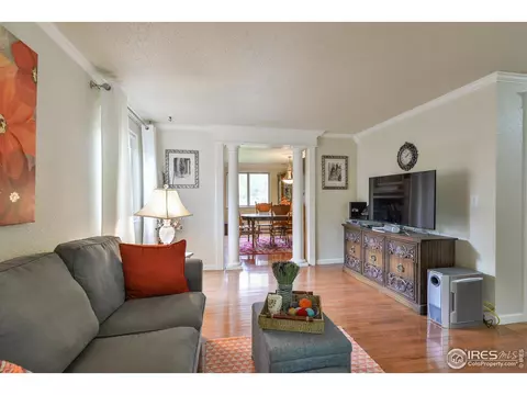 716 Locust St, Windsor, CO 80550 photo 6