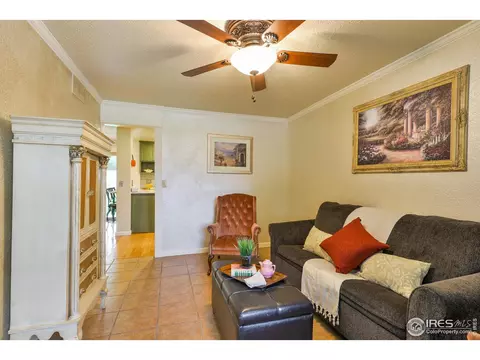 716 Locust St, Windsor, CO 80550 photo 17