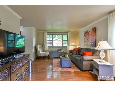 716 Locust St, Windsor, CO 80550 photo 5