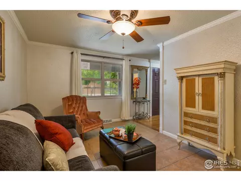 716 Locust St, Windsor, CO 80550 photo 16