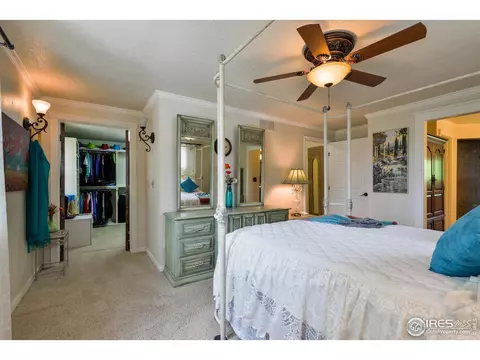 716 Locust St, Windsor, CO 80550 photo 18