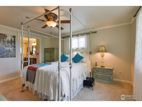 716 Locust St, Windsor, CO 80550 photo 19