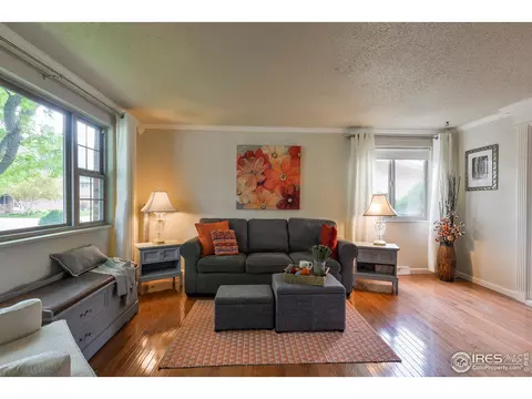 716 Locust St, Windsor, CO 80550 photo 4