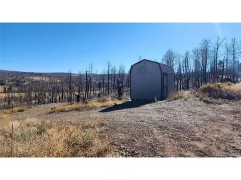 787 Duckworth Dr, Fort Garland, CO 81133