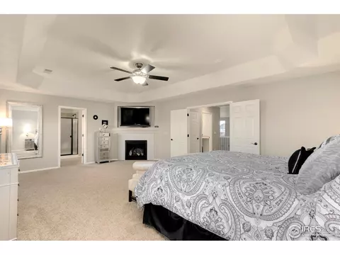 5718 Foxfire St, Timnath, CO 80547 photo 25