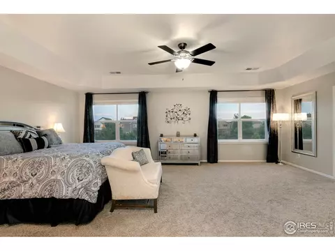 5718 Foxfire St, Timnath, CO 80547 photo 10