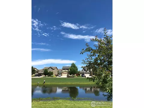 5718 Foxfire St, Timnath, CO 80547 photo 15