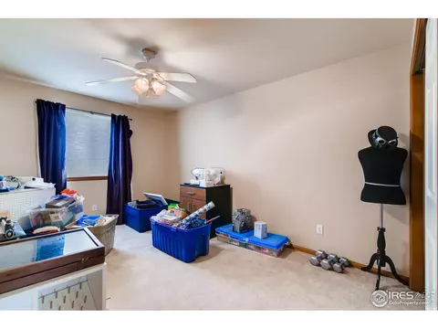 108 Whitney Ct, Windsor, CO 80550 photo 21