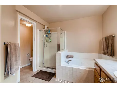 108 Whitney Ct, Windsor, CO 80550 photo 18