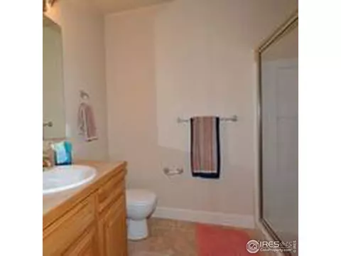 1994 Vineyard Dr, Windsor, CO 80550 photo 31