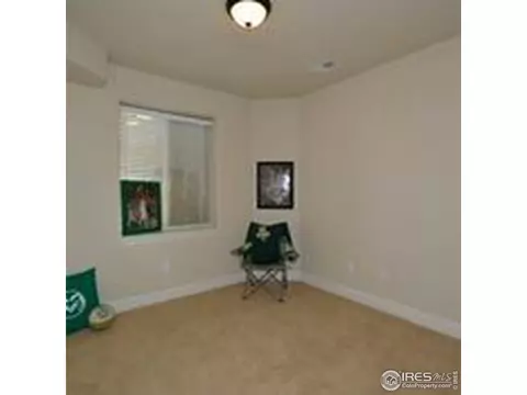 1994 Vineyard Dr, Windsor, CO 80550 photo 32