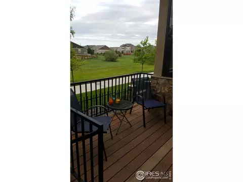 1994 Vineyard Dr, Windsor, CO 80550 photo 20