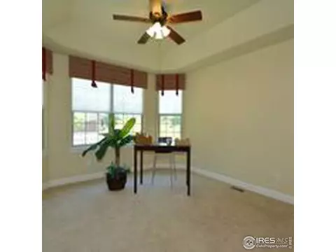 1994 Vineyard Dr, Windsor, CO 80550 photo 23