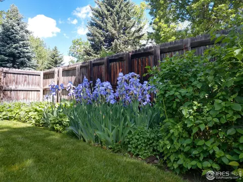 2085 Joslyn Pl, Boulder, CO 80304 photo 9