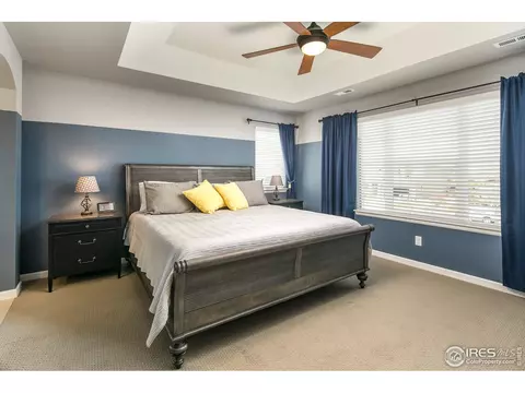 1975 Captiva Ct, Windsor, CO 80550 photo 19