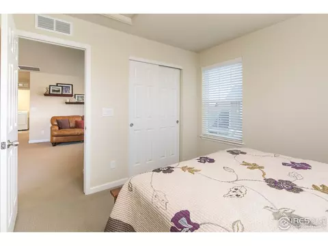 1975 Captiva Ct, Windsor, CO 80550 photo 20