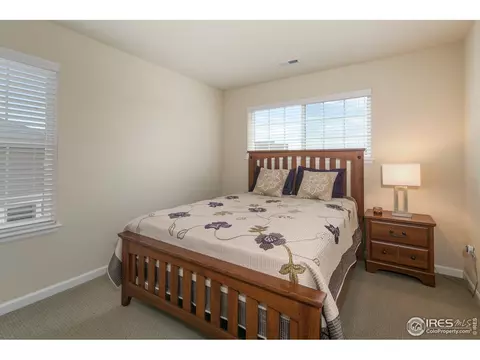 1975 Captiva Ct, Windsor, CO 80550 photo 23