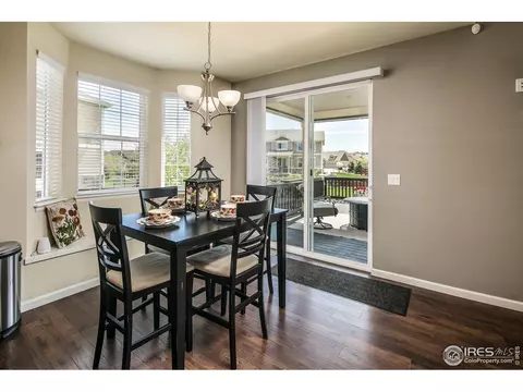 1975 Captiva Ct, Windsor, CO 80550 photo 16