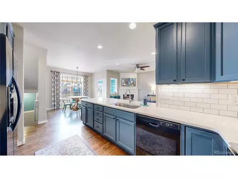 9163 E 29th Pl, Denver, CO 80238 photo 10