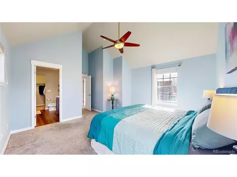 9163 E 29th Pl, Denver, CO 80238 photo 22