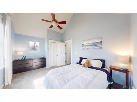 9163 E 29th Pl, Denver, CO 80238 photo 18