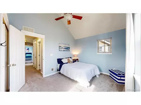 9163 E 29th Pl, Denver, CO 80238 photo 17
