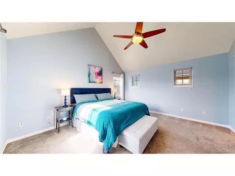 9163 E 29th Pl, Denver, CO 80238 photo 21