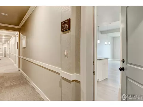 6618 Crystal Downs Dr #206, Windsor, CO 80550 photo 2