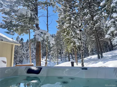 9571 S Warhawk Rd, Conifer, CO 80433 photo 22