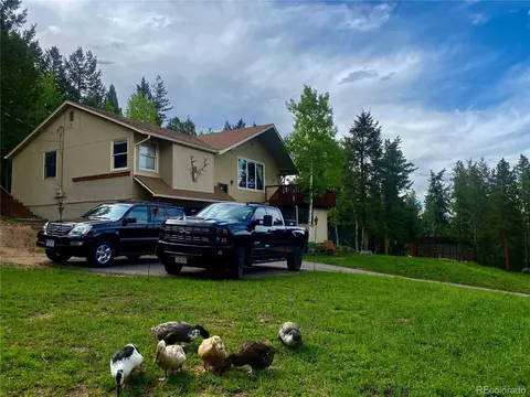 9571 S Warhawk Rd, Conifer, CO 80433 photo 29