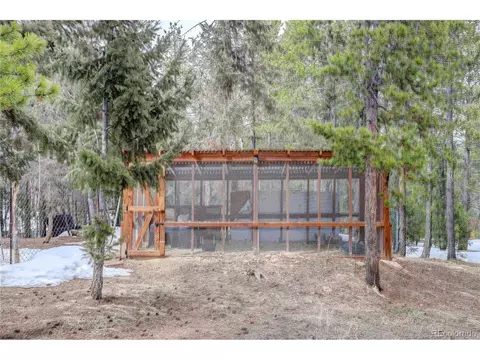 9571 S Warhawk Rd, Conifer, CO 80433 photo 24
