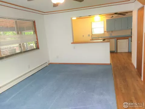 221 5th Ave, Lyons, CO 80540 photo 5