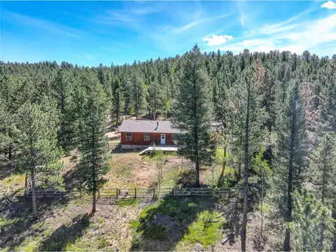 307 Hitchrack Rd, Bailey, CO 80421 photo 6