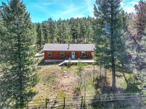 307 Hitchrack Rd, Bailey, CO 80421 photo 4
