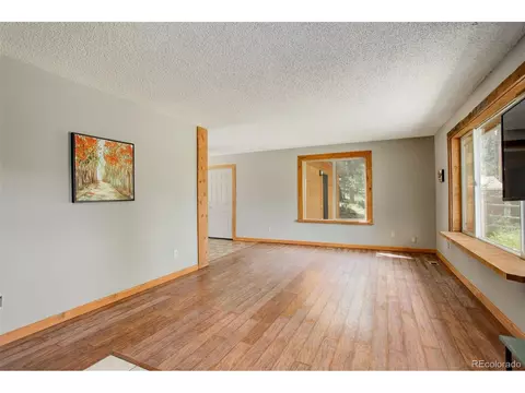 307 Hitchrack Rd, Bailey, CO 80421 photo 14