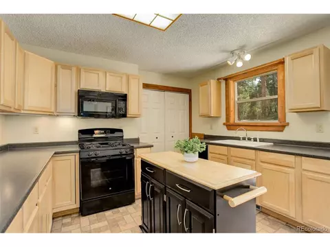 307 Hitchrack Rd, Bailey, CO 80421 photo 10
