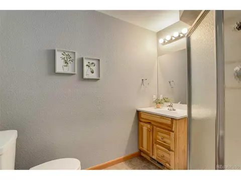 307 Hitchrack Rd, Bailey, CO 80421 photo 18