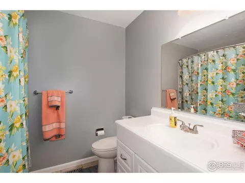 100 Sunflower Dr, Windsor, CO 80550 photo 14