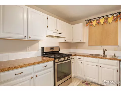 100 Sunflower Dr, Windsor, CO 80550 photo 8