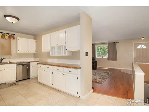100 Sunflower Dr, Windsor, CO 80550 photo 10