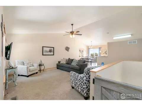 851 Durum St, Windsor, CO 80550 photo 6