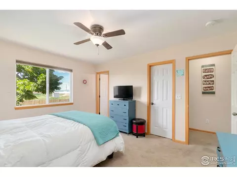 851 Durum St, Windsor, CO 80550 photo 21