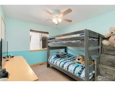 851 Durum St, Windsor, CO 80550 photo 28
