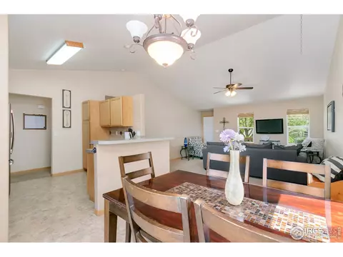 851 Durum St, Windsor, CO 80550 photo 13